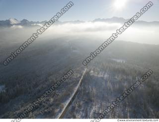 background winter nature forest 0013
